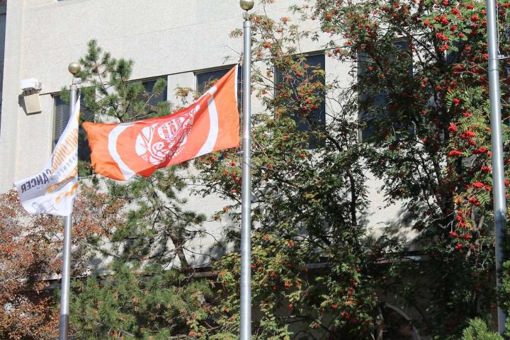 The Survivor's flag flies at Saskatoon City Hall