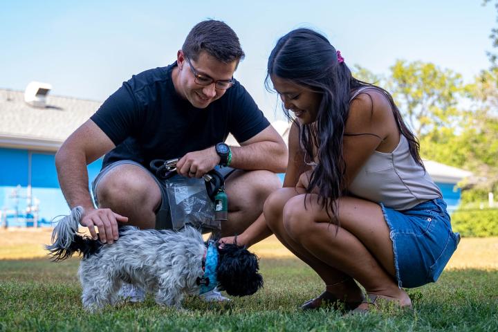 When pets go missing