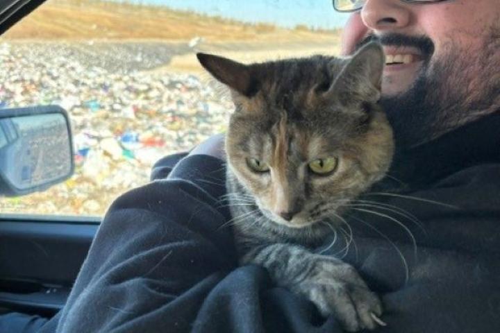 A tabby cat sits safe in a man's arms inside of a vehicle. A landfill can be seen in the background.