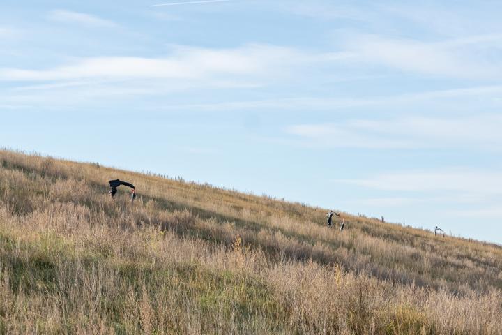 Gas collection pipes at the Saskatoon landfill.