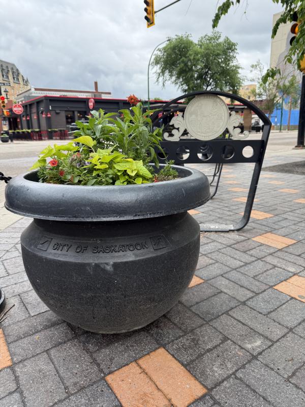 flower pot