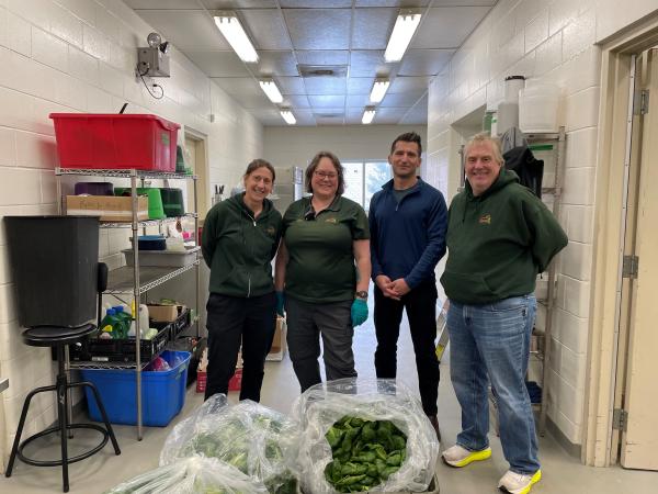Four people stand in a bright indoor workspace beside large open bags filled with green lettuce.