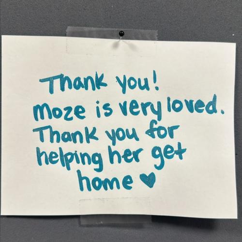 A handwritten note saying: "Thank you! Moze is very loved. Thank you for helping her get home."