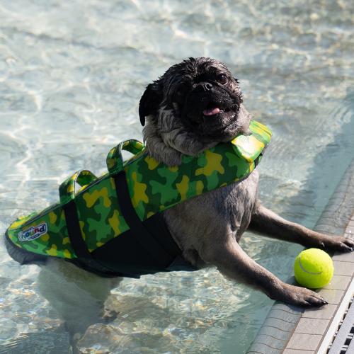 A pug wearing a green life jacket stands in shallow pool water beside a bright yellow tennis ball.