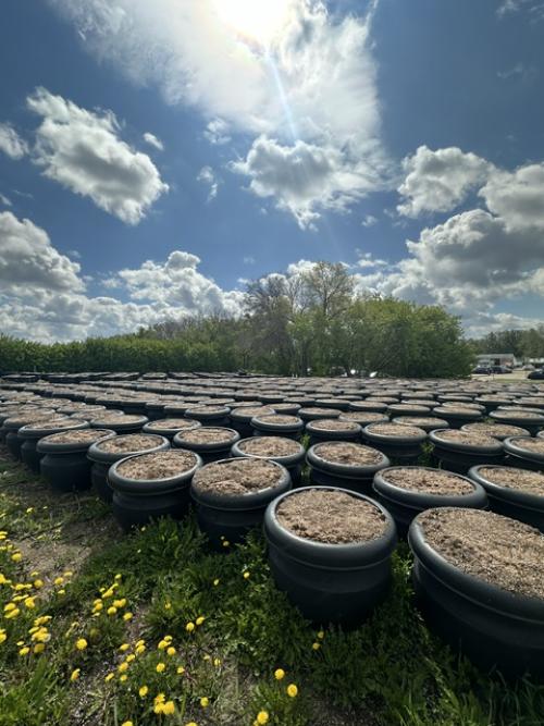 flower pots