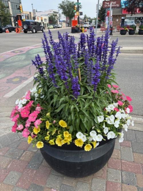flower pot