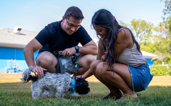 When pets go missing